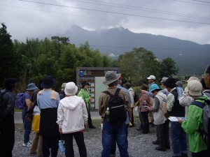 IMGP3249